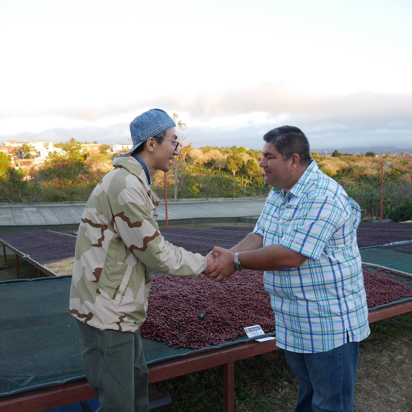 コスタリカ ブルマス ビジャサルチ ブラックハニー