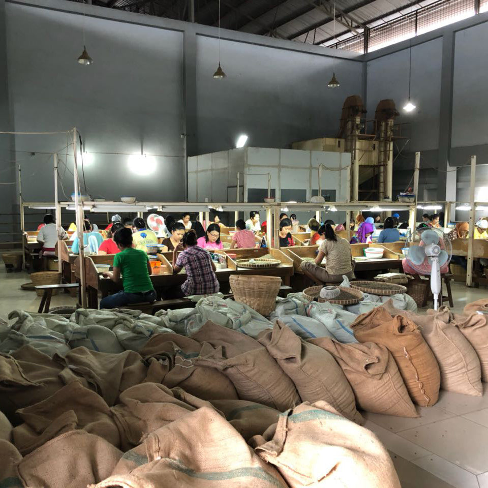 インドネシア リントン マンデリン