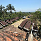 メキシコ　カルロス・カデナ・ムンドマヤ・ハニー